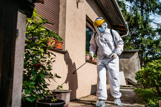 Best Best Pest Control Companies  in Crystal, MN