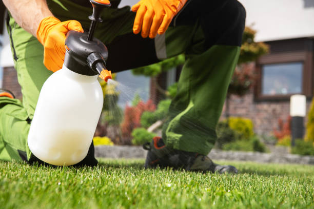 Best Insect Control  in Crystal, MN