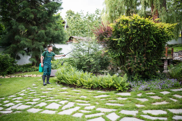 Reliable Crystal, MN Pest Control Solutions