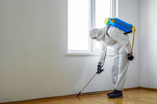 Insect Control in Crystal, MN