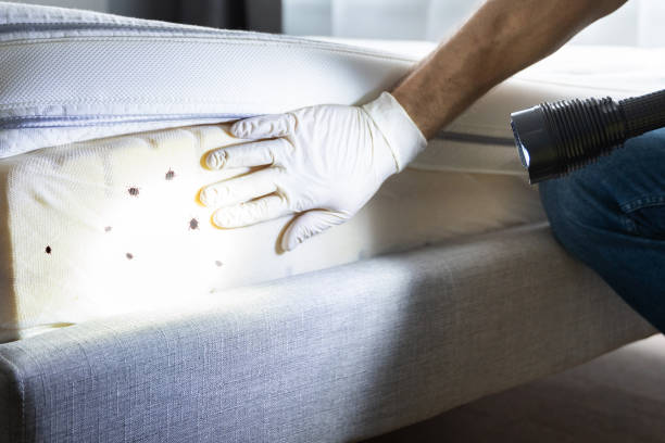Best Residential Pest Control  in Crystal, MN
