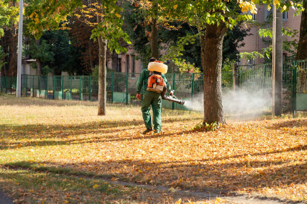Best Residential Pest Control  in Crystal, MN