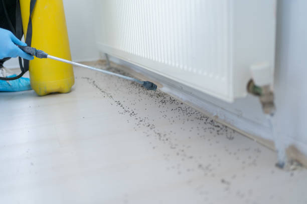 Best Emergency Pest Control  in Crystal, MN